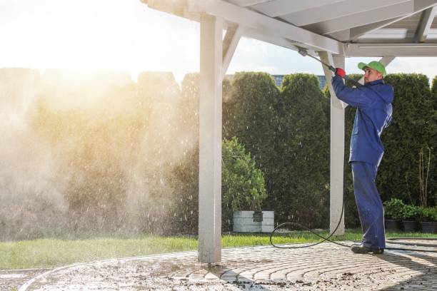 Best Sidewalk and Walkway Cleaning  in Harker Heights, TX