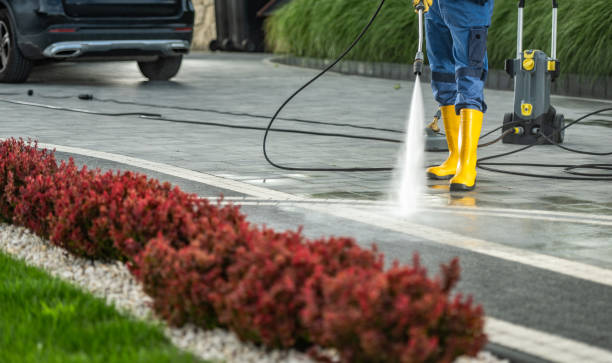 Best Animal Enclosure Cleaning  in Harker Heights, TX
